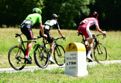 Le chat n&rsquo;accouche jamais d&rsquo;une souris